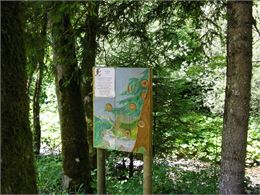 Sentier des oiseaux - Ecomusée du Bois et de la Forêt