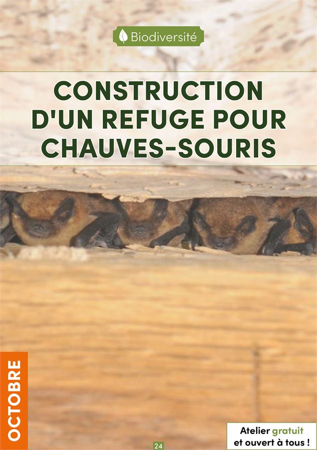 Construction d'un refuge pour chauves-souris avec la LPO Ain - 3CM