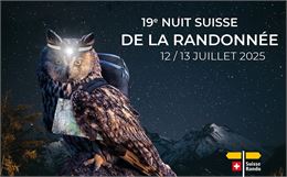 Fondue & apéro sauvage au coucher du soleil_Morgins