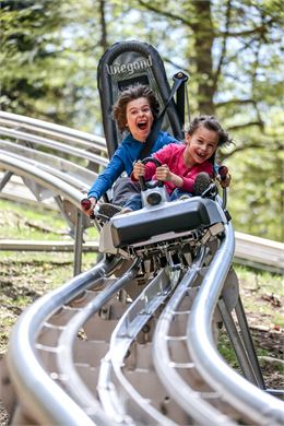 Luge sur rail Les Carroz - @Millo Moravski