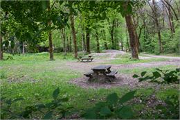 Parc des Ecureuils - Thônes - Office de tourisme