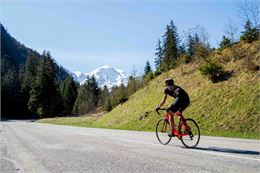 Cycliste sur la route de Pralognan - Marina KOKKELINK
