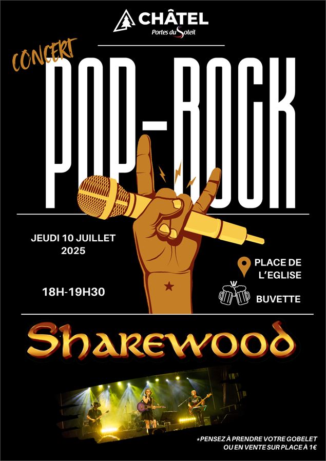 Concert Pop-Rock