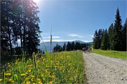 Découverte de la faune et de la flore - Balade avec un guide - Domaine Skiable de Megève