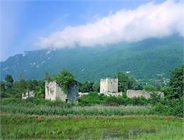 Château Thomas II Bourget du Lac - Pascal Lemaître Fondation Facim