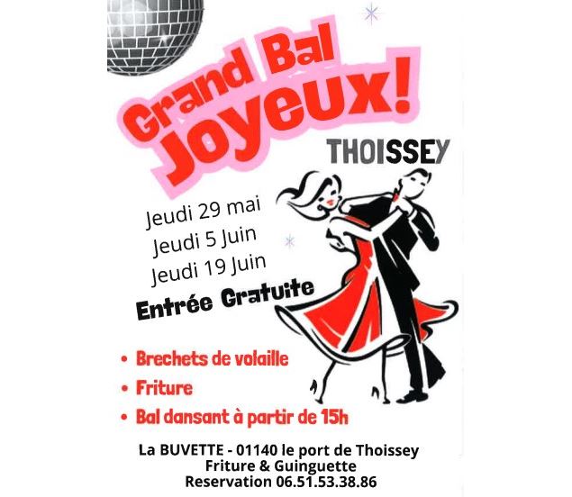 Grand Bal Joyeux_Thoissey - CR Camping Thoissey