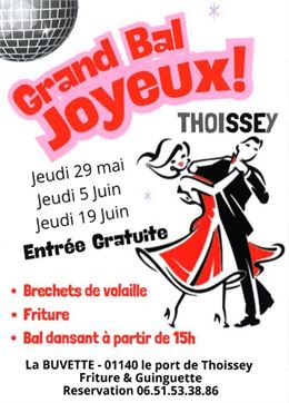 Grand Bal Joyeux_Thoissey - CR Camping Thoissey