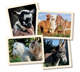 MINI-FERME DES ANIMAUX DE LA FERME - relaisdesaigles