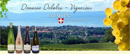 vignoble - delalex
