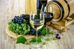 Salon des vins illustration - Pixabay
