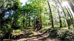 Bike Park de Cormaranche en Bugey - Sébastien Beaudon