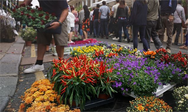 Photo de vente de plantes - Image de rawpixel.com sur freepik
