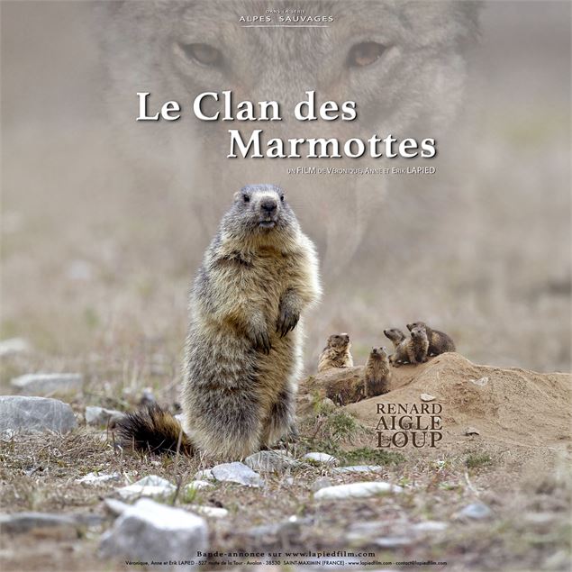 Affiche du film - Lapied films