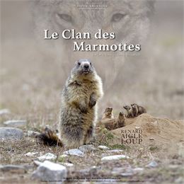 Affiche du film - Lapied films