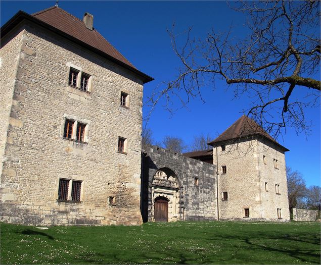 Façade du château - Dep74