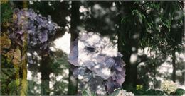 Exposition de Blandine Faure, photographies d'Autoportrait, sur la thématique du cancer, à l'occasio