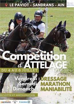 Concours d'Attelage - BEJA Julien