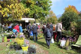 Troc de plantes_Saint-Béron