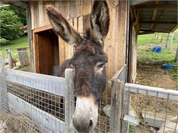 Babole dans son parc - OTADL-PB