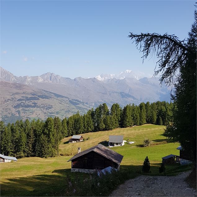 Plateau de Plan-Bois - Mélanie Villien
