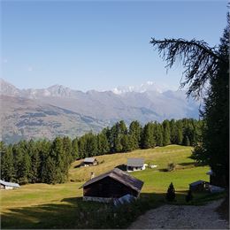 Plateau de Plan-Bois - Mélanie Villien