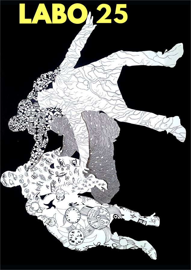 Exposition : Labo 25_Annecy - Le Mikado MJC Centre Social
