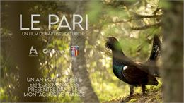 Affiche du film Le Pari avec Grand Tétras - B. Deturche