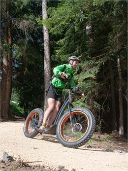 Trottinette électrique La Norma - D.Cuvelier - OTHMV