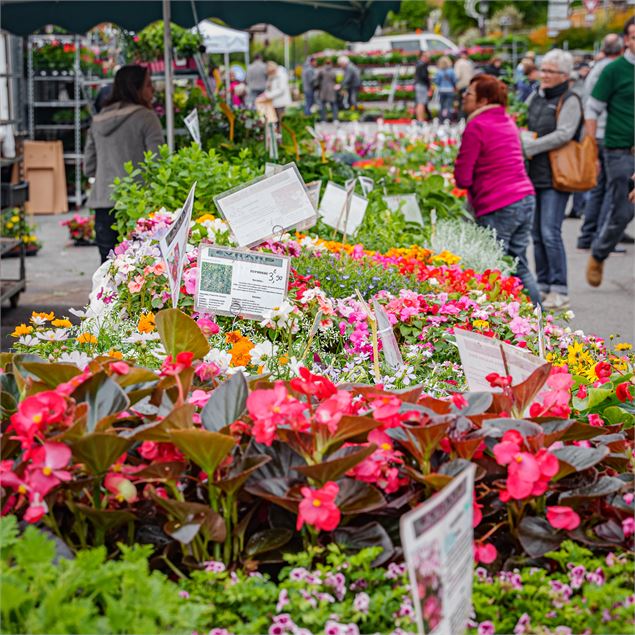 Marché aux fleurs_Combloux