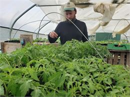 Vente de plants de légumes_Prémeyzel - Jardin du Pré Neuf