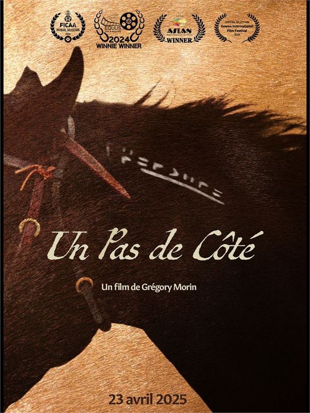 ciné rencontre : Un pas de côté_Albertville