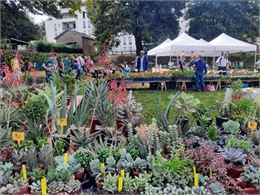 Marché aux plantes rares - Commune de Châtillon-sur-Chalaronne