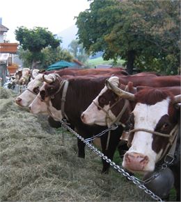 Foire de la Saint Michel - OT Alpes du Léman - VS