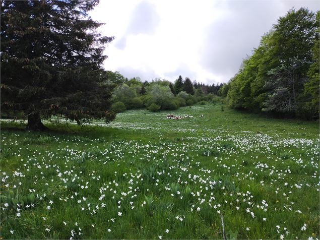 Plateau de Retord - Marie Jacques