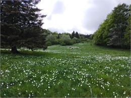 Plateau de Retord - Marie Jacques