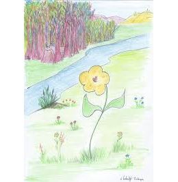 Contes du mercredi avec Flore, la Vie Conte - 25/11/2025