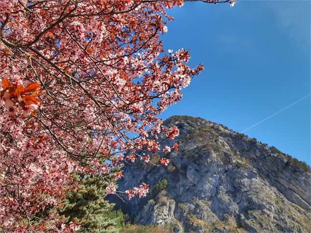 paysage - Office de Tourisme Thônes Coeur des Vallées