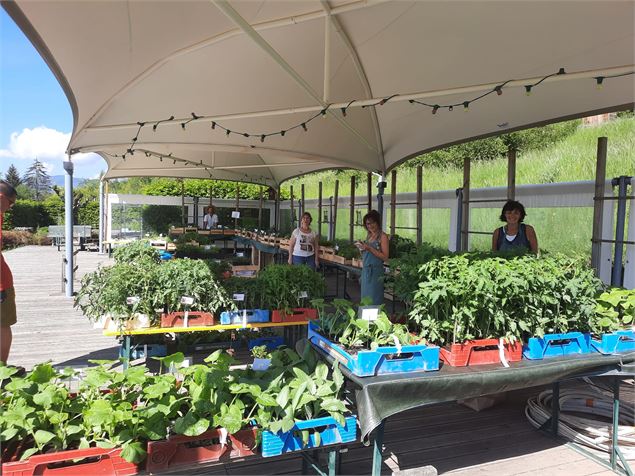 Foire aux Plantes - @jardindescimes