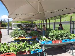 Foire aux Plantes - @jardindescimes