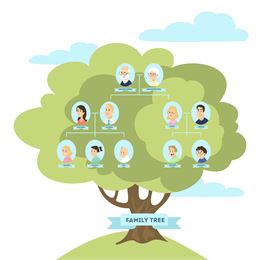arbre généalogique - freepik