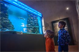 Enfants devant un aquarium au musée - Quentin Trillot - Ville d'Annecy