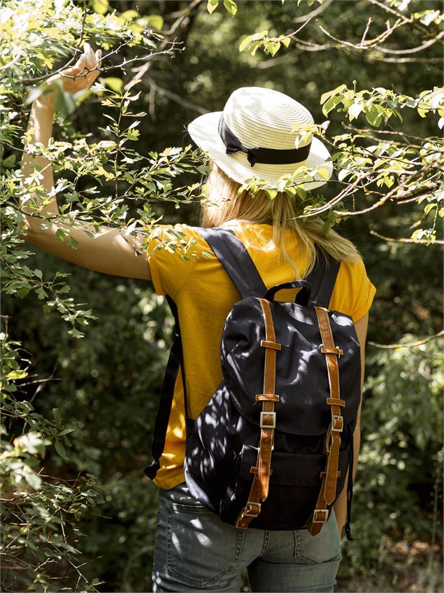 Sortie nature - découverte de la biodiversité au Reposoir_Le Reposoir