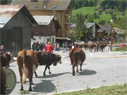 Les montées à l'alpage - Saveurs des Aravis