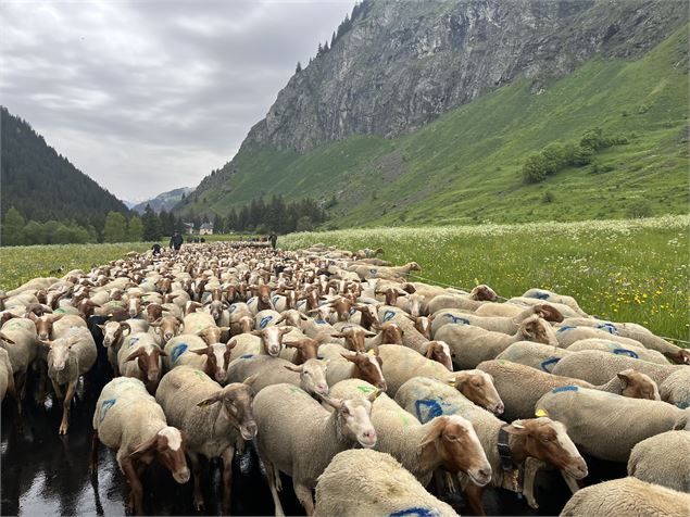Fête de l'emmontagnée_Champagny-en-Vanoise - OTGP