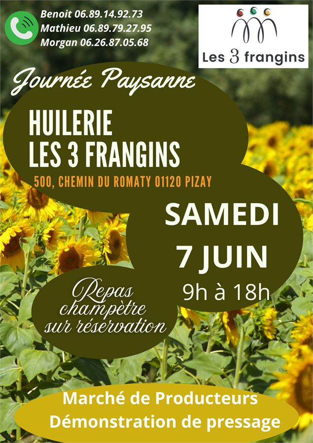 Portes ouvertes à l'huilerie Les 3 Frangins - non