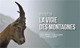 Cinéma plein air : Bouquetin , la vigie des montagnes_Annecy - Les Films en Vrac / France Télévision