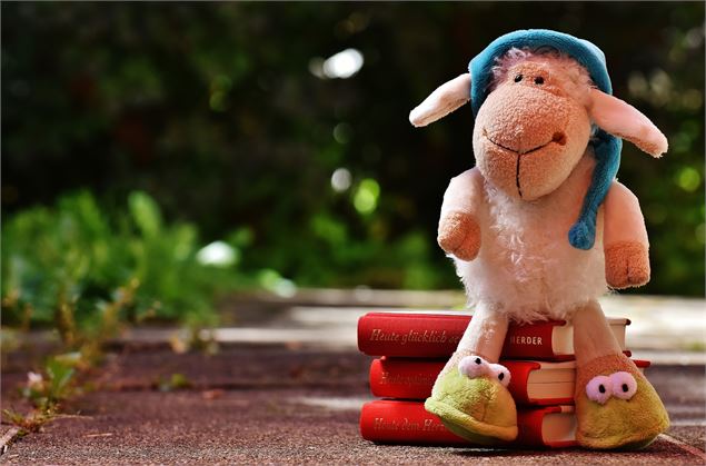 peluche sur des livres
