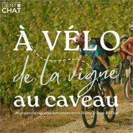 À vélo de la Vigne au Caveau !_Jongieux