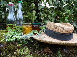 Secrets de plantes médicinales - @Jardin 5  sens