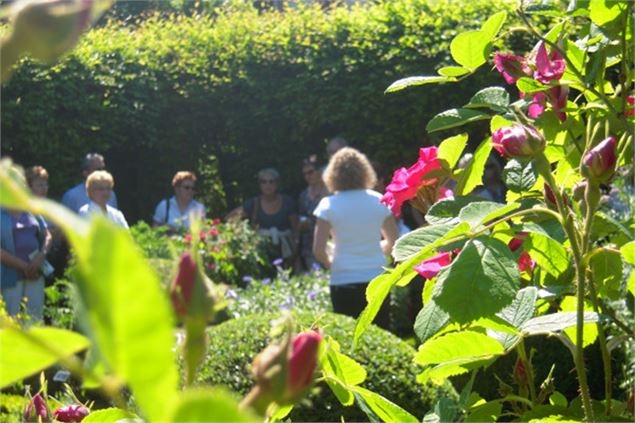 Photo prise lors d'une visite au Jardin - @Jardin 5  sens